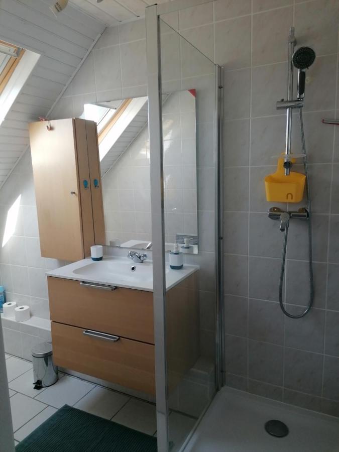 Chez Carine Apartamento Schiltigheim Exterior foto