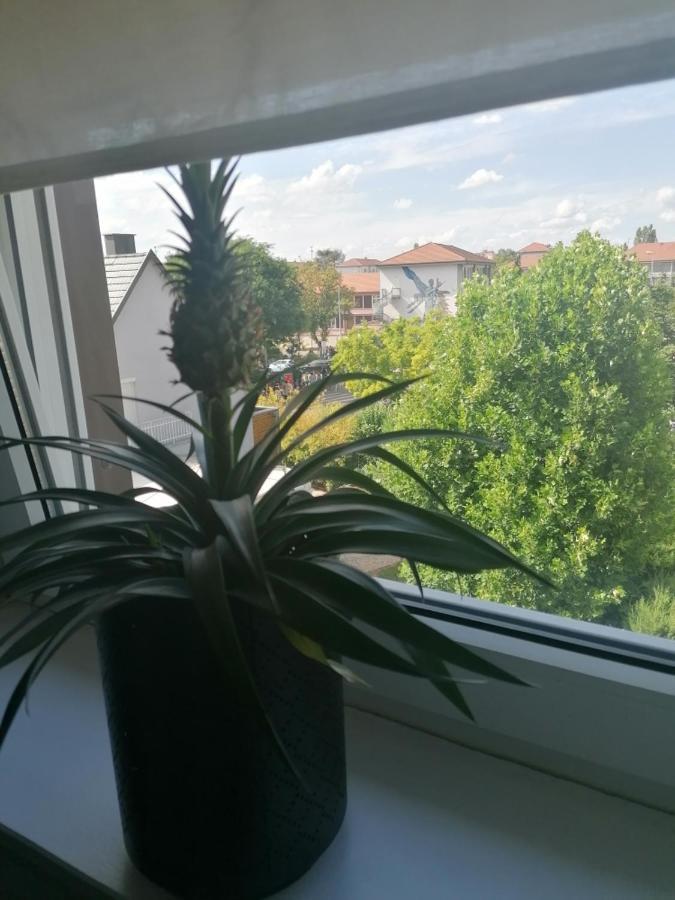 Chez Carine Apartamento Schiltigheim Exterior foto
